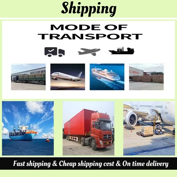 Size S M L XL Pet Urine Pad Super Absorbent Pee Pads For Pets