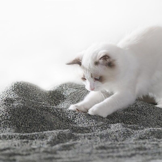 Sodium Based Ore Cat Litter Customize 100 Dust Free Cat Litter