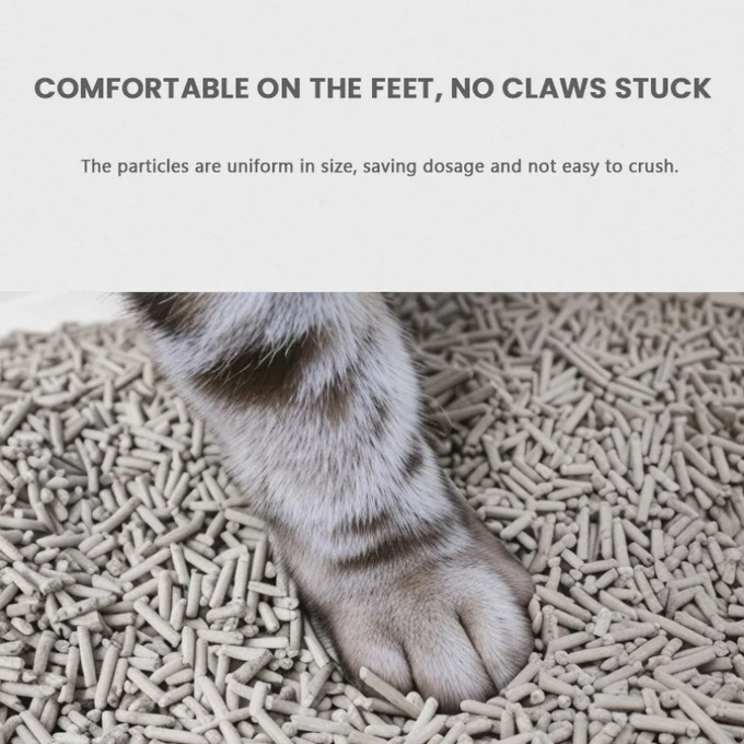Deodorizing Activated Carbon Cat Litter Grey Biodegradable Tofu Cat Litter